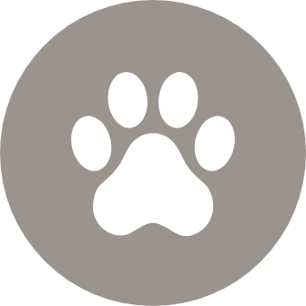 Play fetch with rover at the pet park
